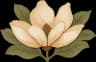 Flor de magnolia, logo del Club de Magnolia